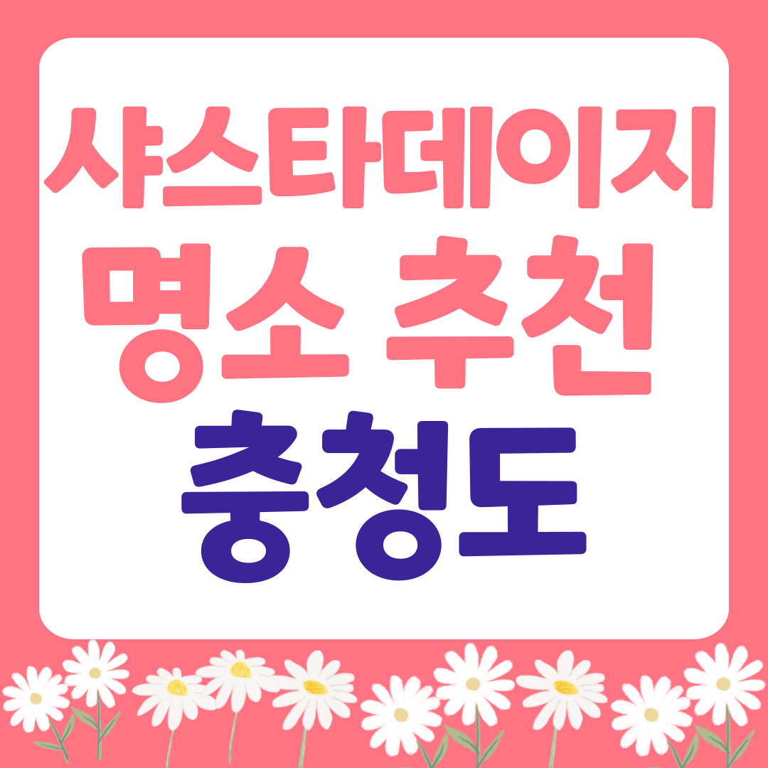 충청도 샤스타데이지 명소 추천 관련 사진