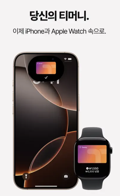 아이폰 애플워치 티머니 사용법