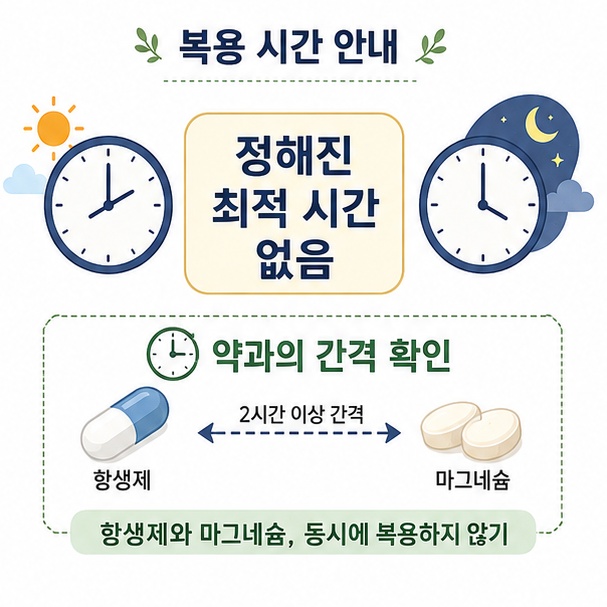 마그네슘은 정해진 최적 복용 시간이 없으며 일부 항생제와 골다공증 치료제는 복용 간격을 확인해야 함을 설명한 이미지