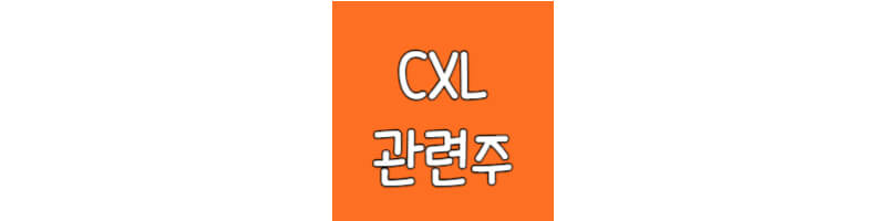 CXL-관련주