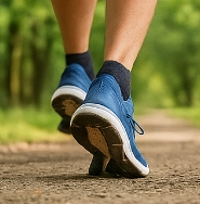 선종 뜻 선종과 용종의 차이