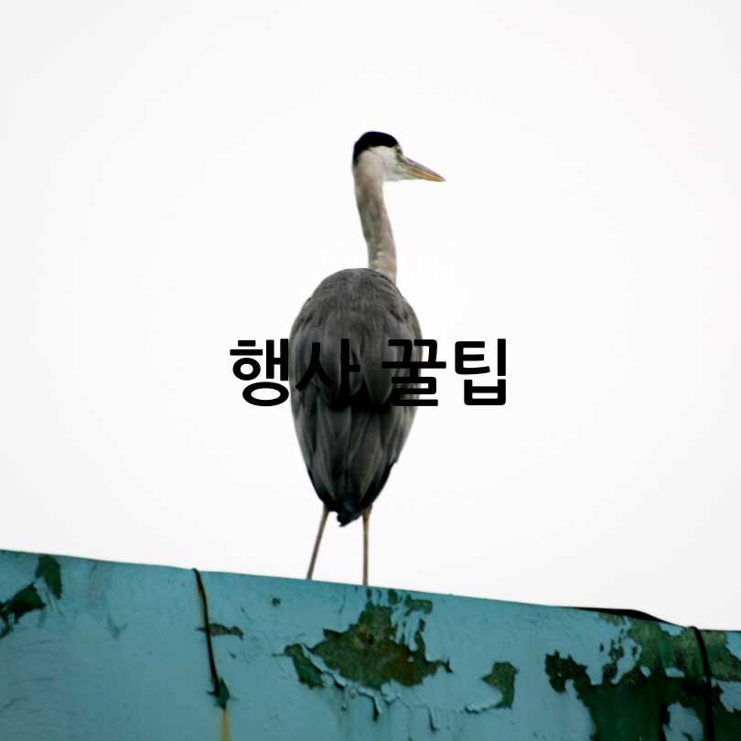 서울대공원 어린이날 무료 입장