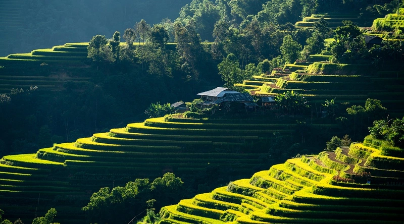 리모델링, 비용 산정과 시공사 선정