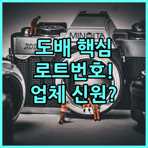 성공적인 도배를 위한 시공업체 신원 ..