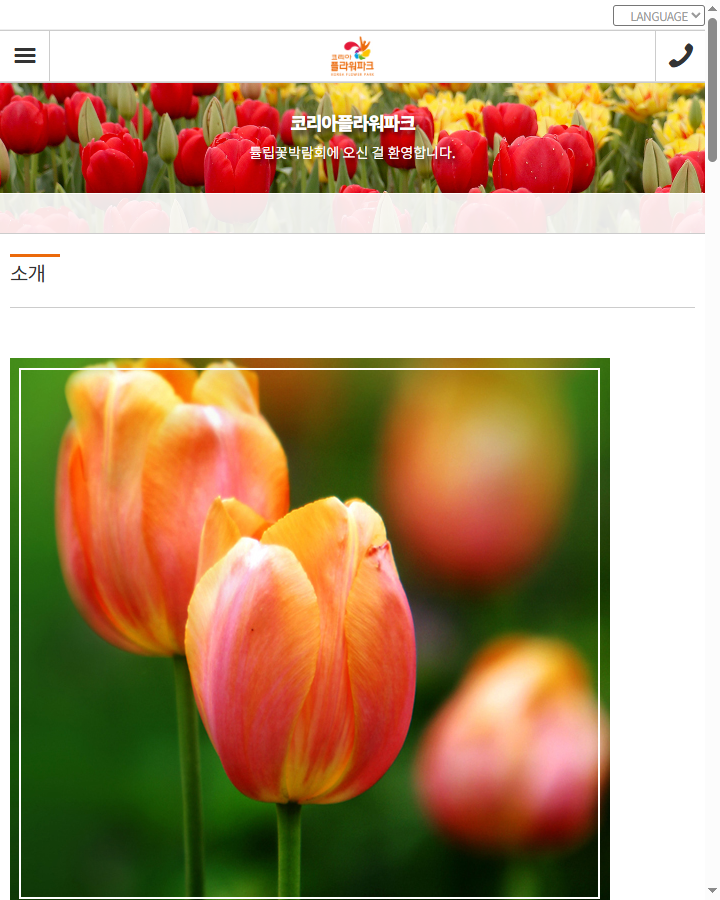 태안 튤립꽃박람회 입장료 비교표 인포그래픽