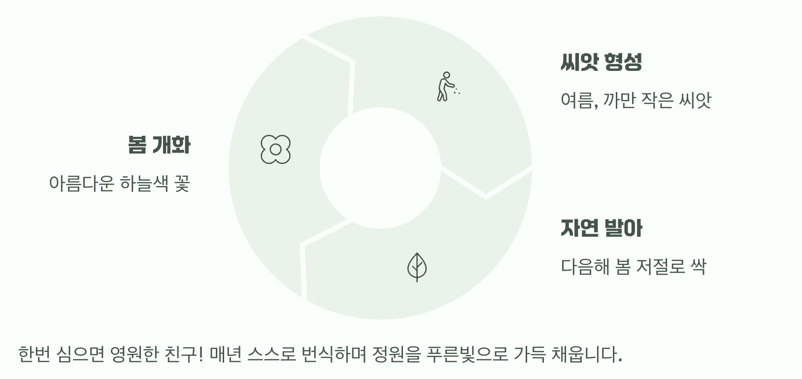 한번 심으면 영원한 친구, 놀라운 번식력