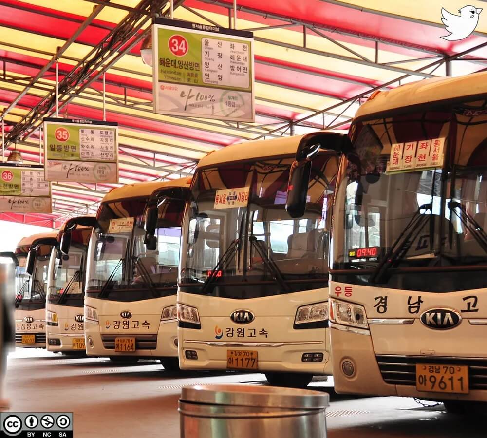 동서울-종합터미널-버스-이미지