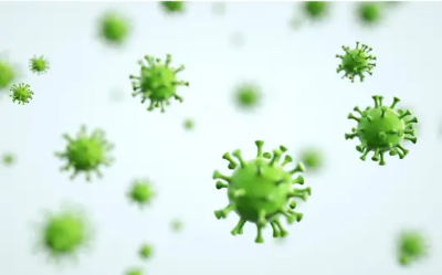 비타민d 많은 음식, 부족 증상