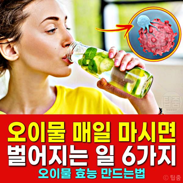 오이물 효능 오이물 만들기