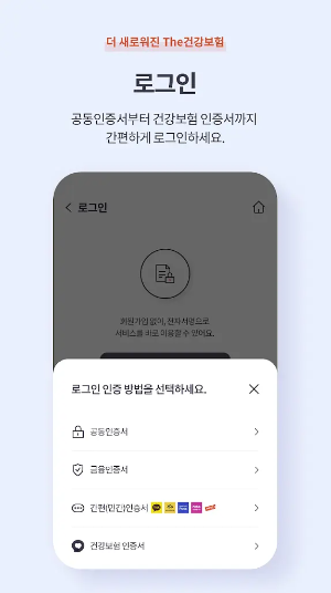 The건강보험