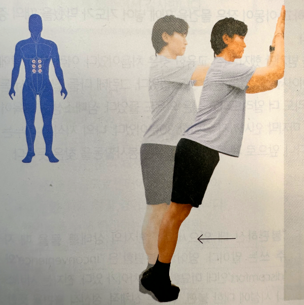 벽 플랭크(Wall Plank)