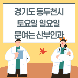 경기도 동두천시 토요일 일요일 산부인과 진료 문여는 병원 리스트