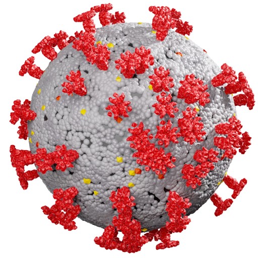 최근 코로나 증상 순서
