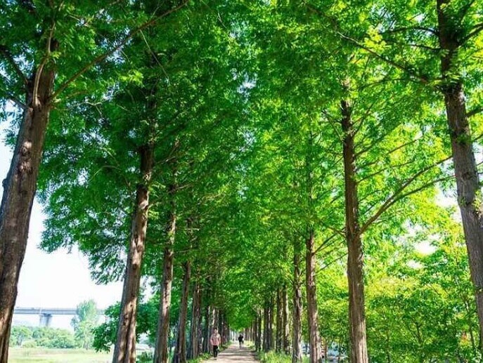 공주 가볼만한곳 베스트 10