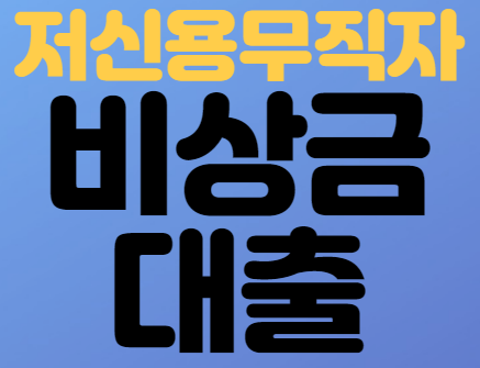 비상금대출