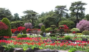 경기도 봄 여행지 추천 10곳 완벽 코스 가이드북_7