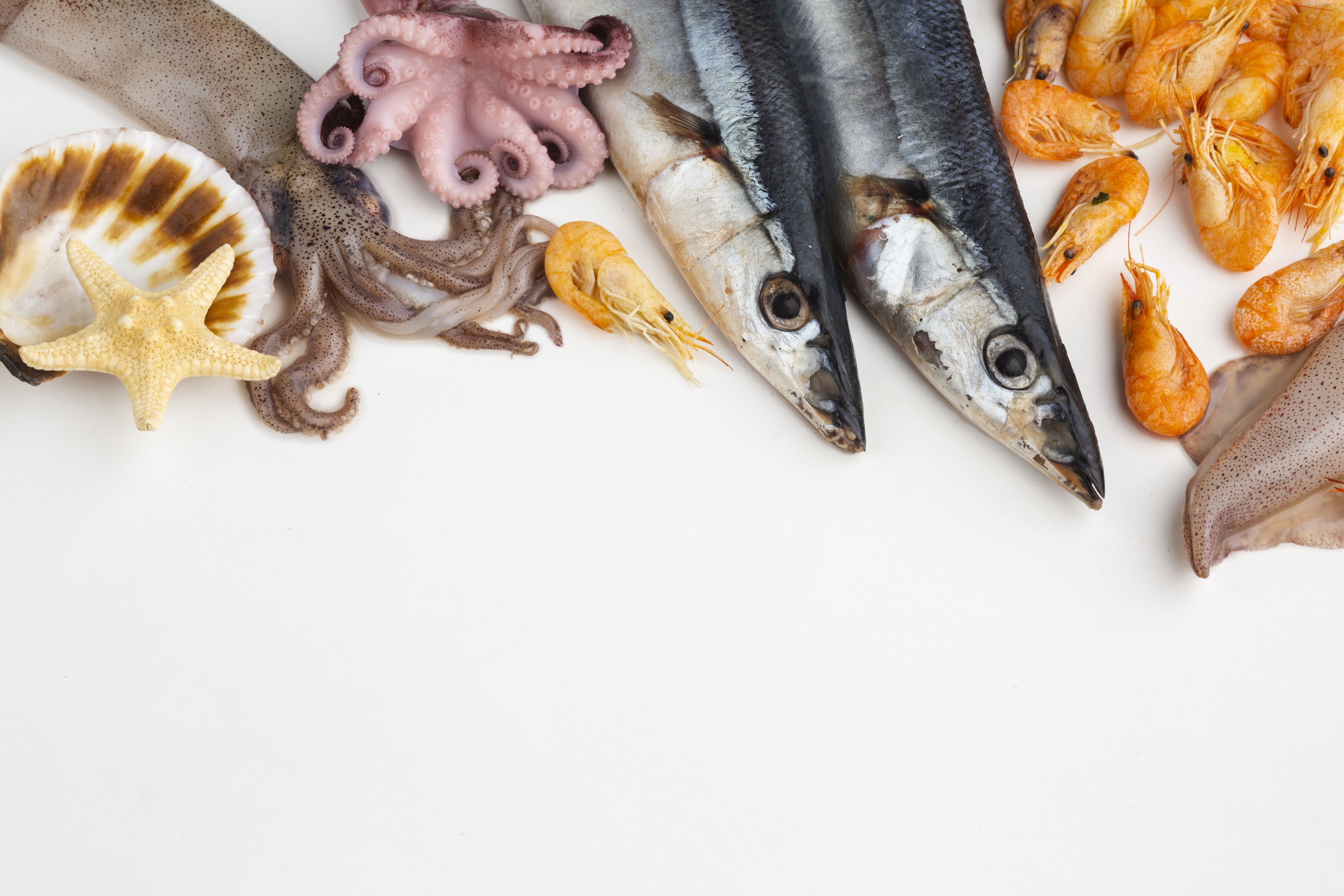 해산물 요리 비교: 부산과 목포의 차이 관련 사진