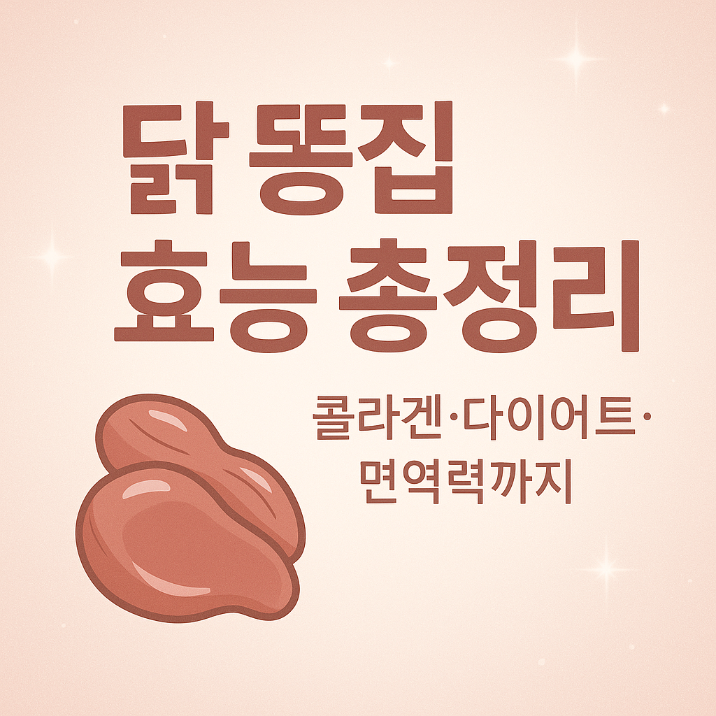 닭 똥집 효능! 알고 먹으면 더 건강해지는 이유 🌟