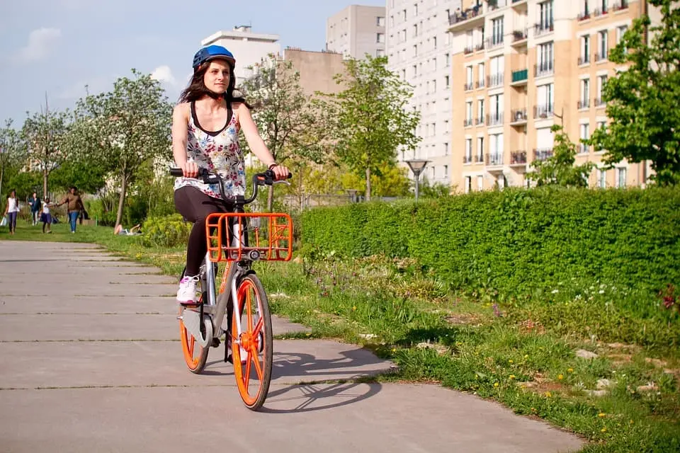 탄소중립형 신도시에서의 교통-에너지 통합 거버넌스 설계 전략