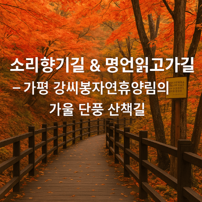 [명품숲길 50선 가을단풍 산행 ②] 소리향기길 &amp; 명언읽고가길 : 가평 강씨봉자연휴양림의 가을 산책길