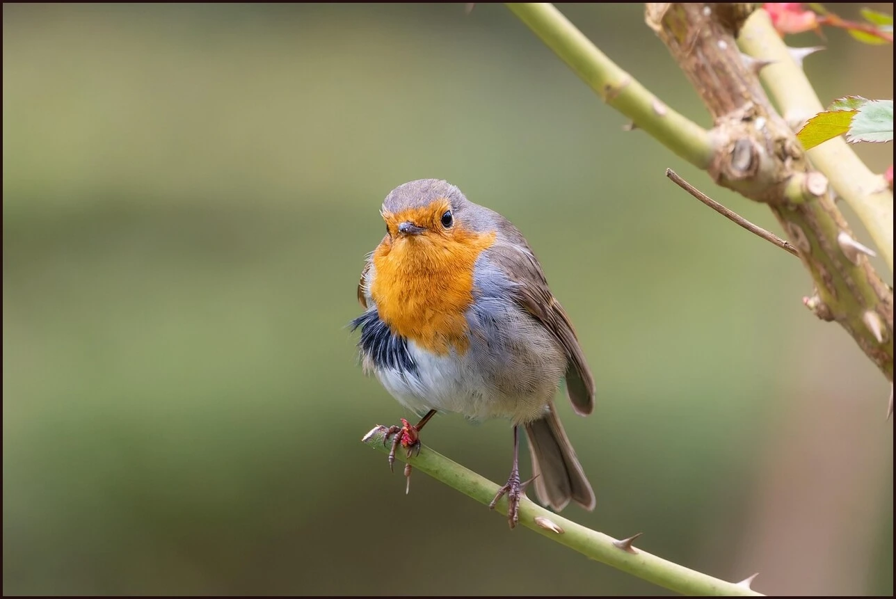 예금이자 가장 높은 은행