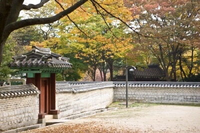 창덕궁-후원-사전-예약-필수-정보