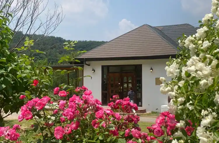 카페 여주 가게 전경