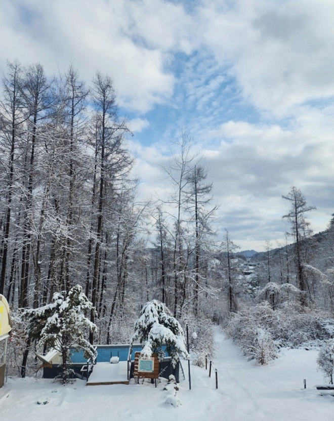 극한직업-캠핑장-관리자-두미리관광농원