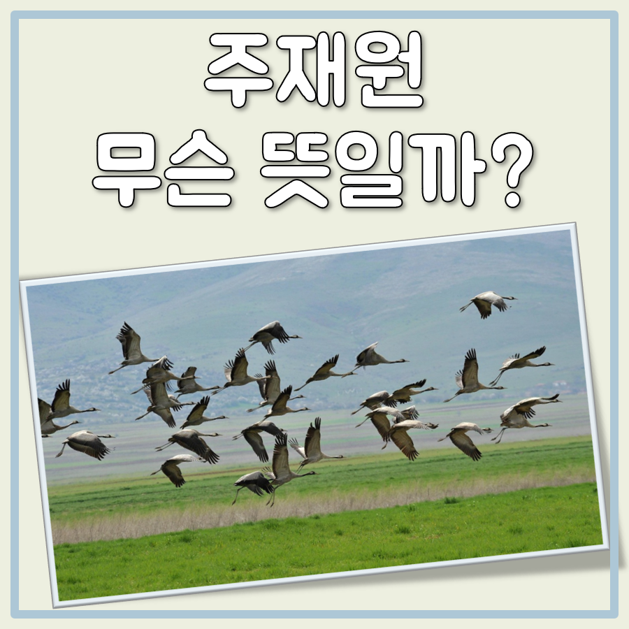 주재원 뜻 대표 이미지