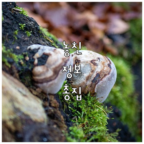 폐가전제품 버릴 때 돈 내지 마세요!..