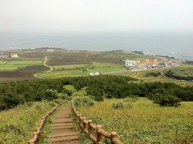 제주 올레길