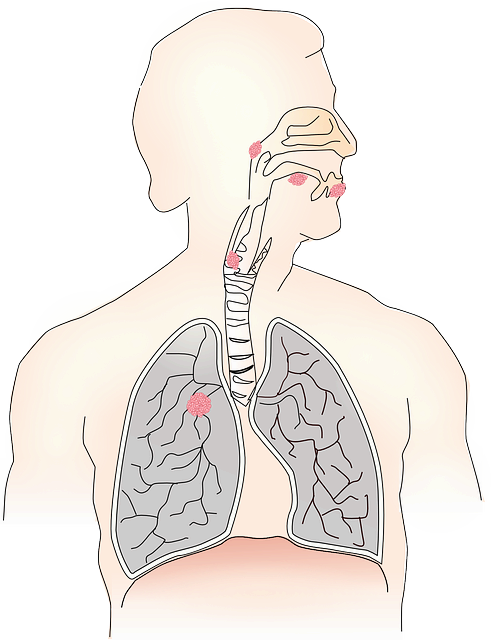 편도염의 이해, 증상 및 합병증, 원인, 치료 방법 및 관리