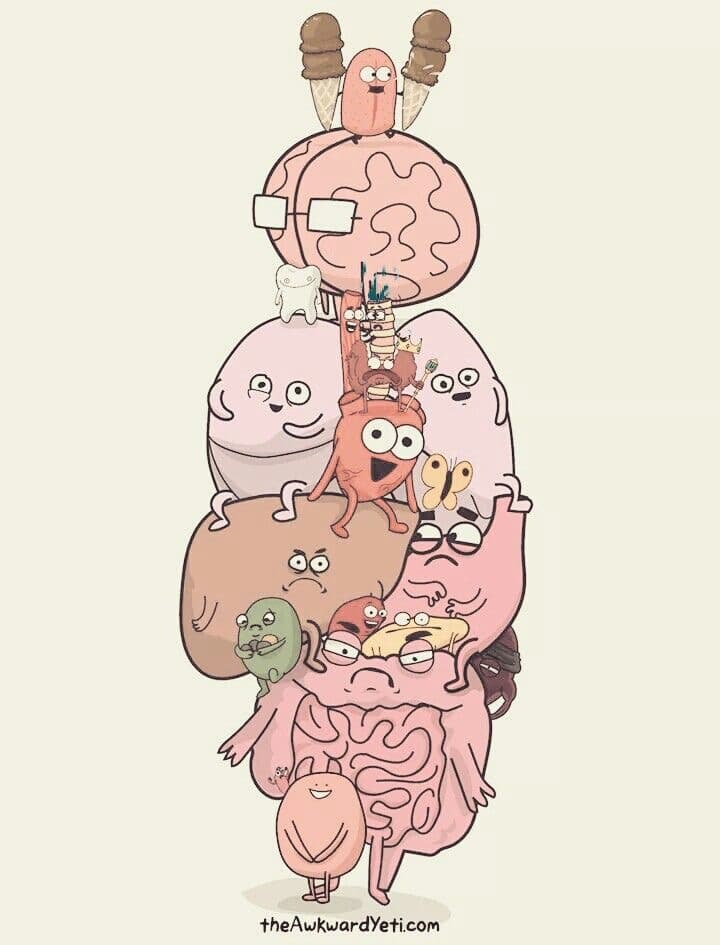 카페인 섭취 타이밍과 수면 리듬 관리는 어떤게 효율적일까?