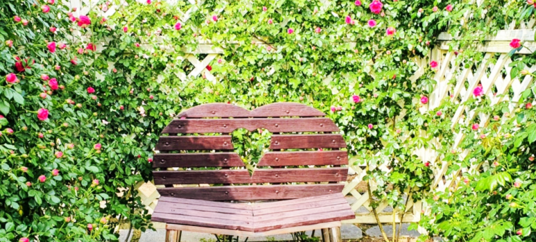 곡성 세계장미축체