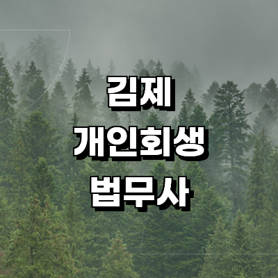 김제시 개인회생 법무사