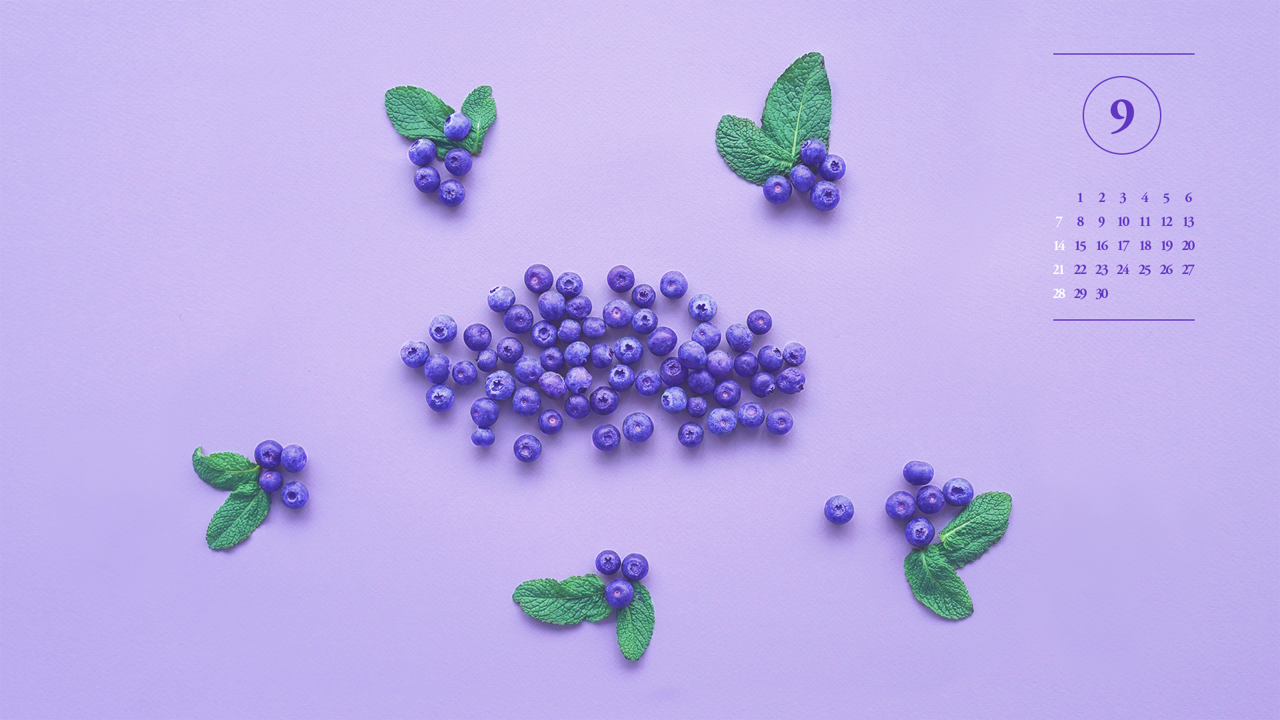 05 블루베리 A - 2025년9월 노트북배경화면