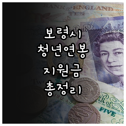 2025 보령시 청년 연봉 지원: 자..