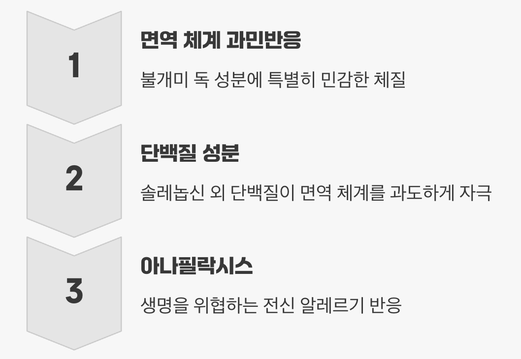 진짜 위험, '알레르기'라는 시한폭탄