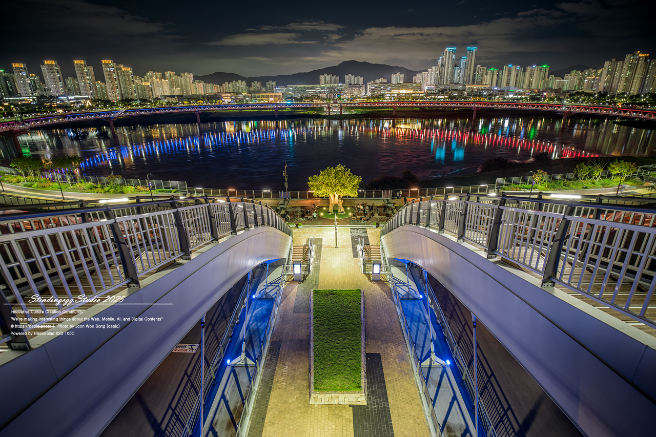 #세종 #이응교 #금강보행교 #SA