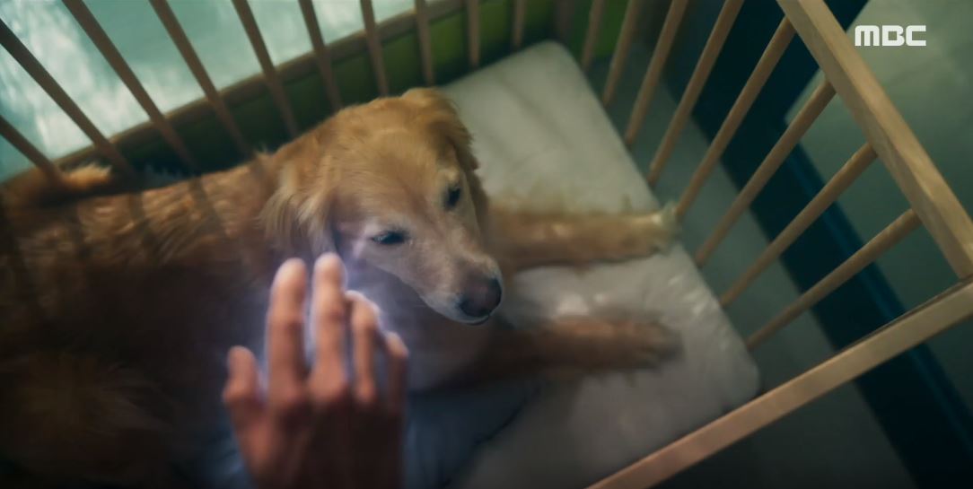 오늘도사랑스럽개_10회