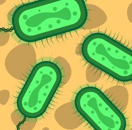 간이식 후유증 알아보기