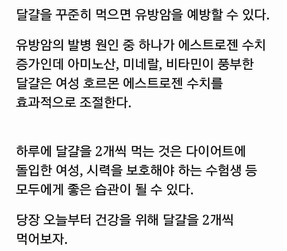 하루달걀2개먹기