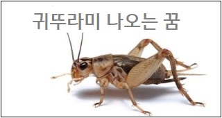 귀뚜라미 나오는 꿈
