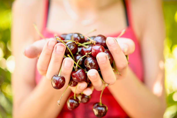 타트체리 효능&amp;#44; 불면증과 치매예방에 좋고 미국 10대 슈퍼푸드 중 하나로 선정될 정도로 몸에 좋은 효능이 너무 많습니다.