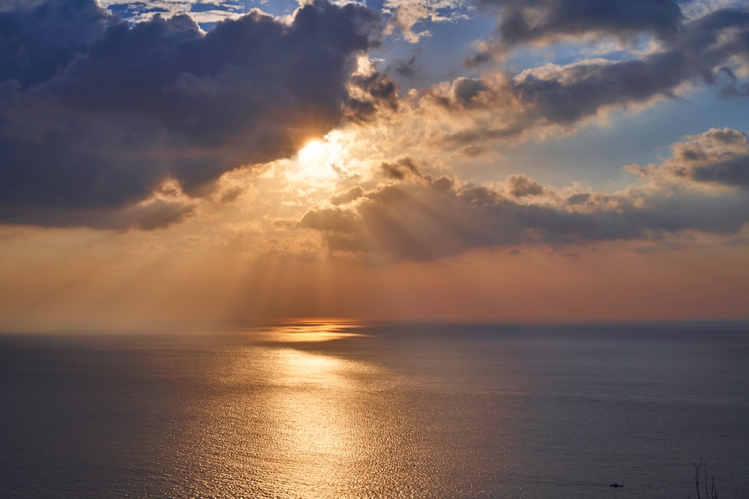 Sunlight