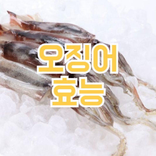 오징어 효능, 해동하는 방법! 제철시기!