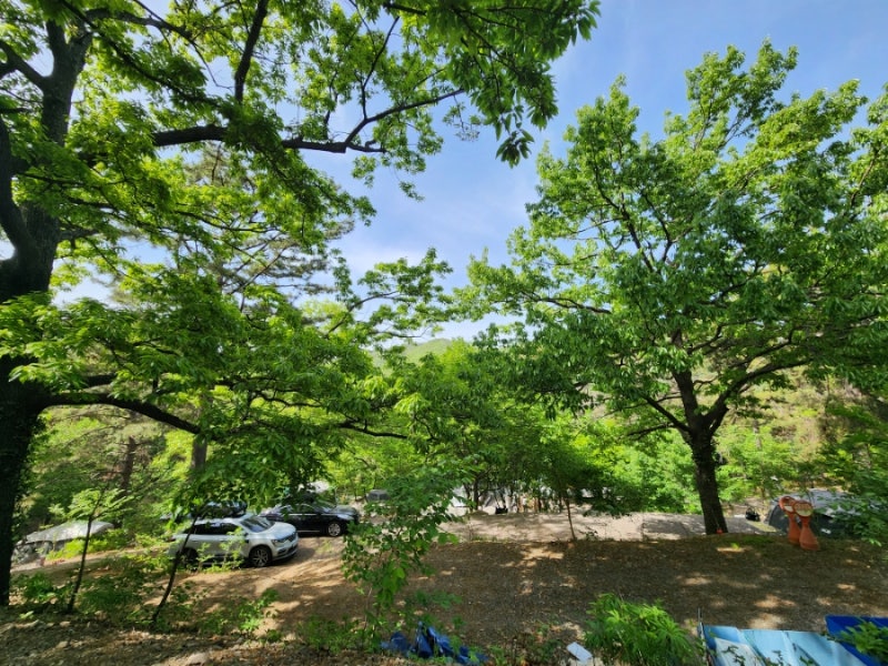 경남 창원휴양림 오토캠핑장 소개