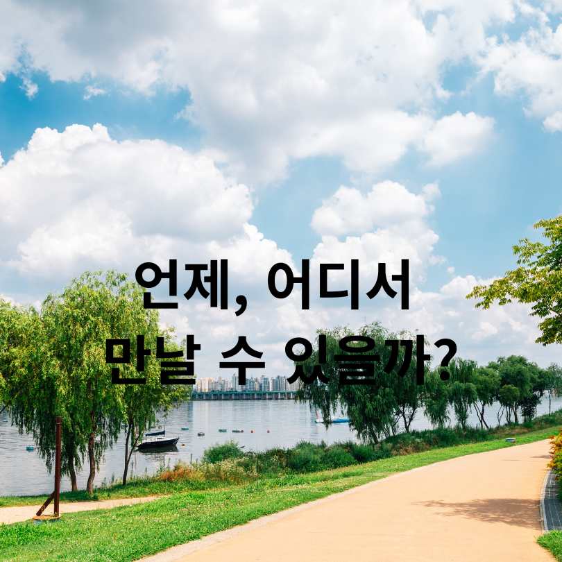 2025 한강 무릉도원 축제 완벽 가이드