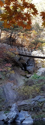 숲나들e 공립 자연휴양림 국내 여행지 추천 지역별 목록 관련사진
