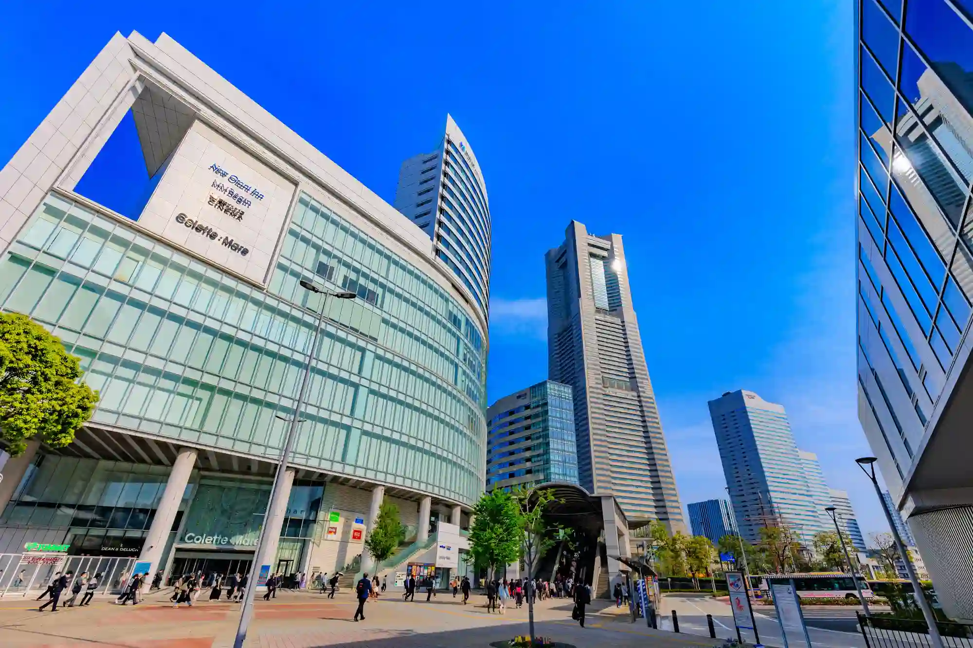콜레트 마레